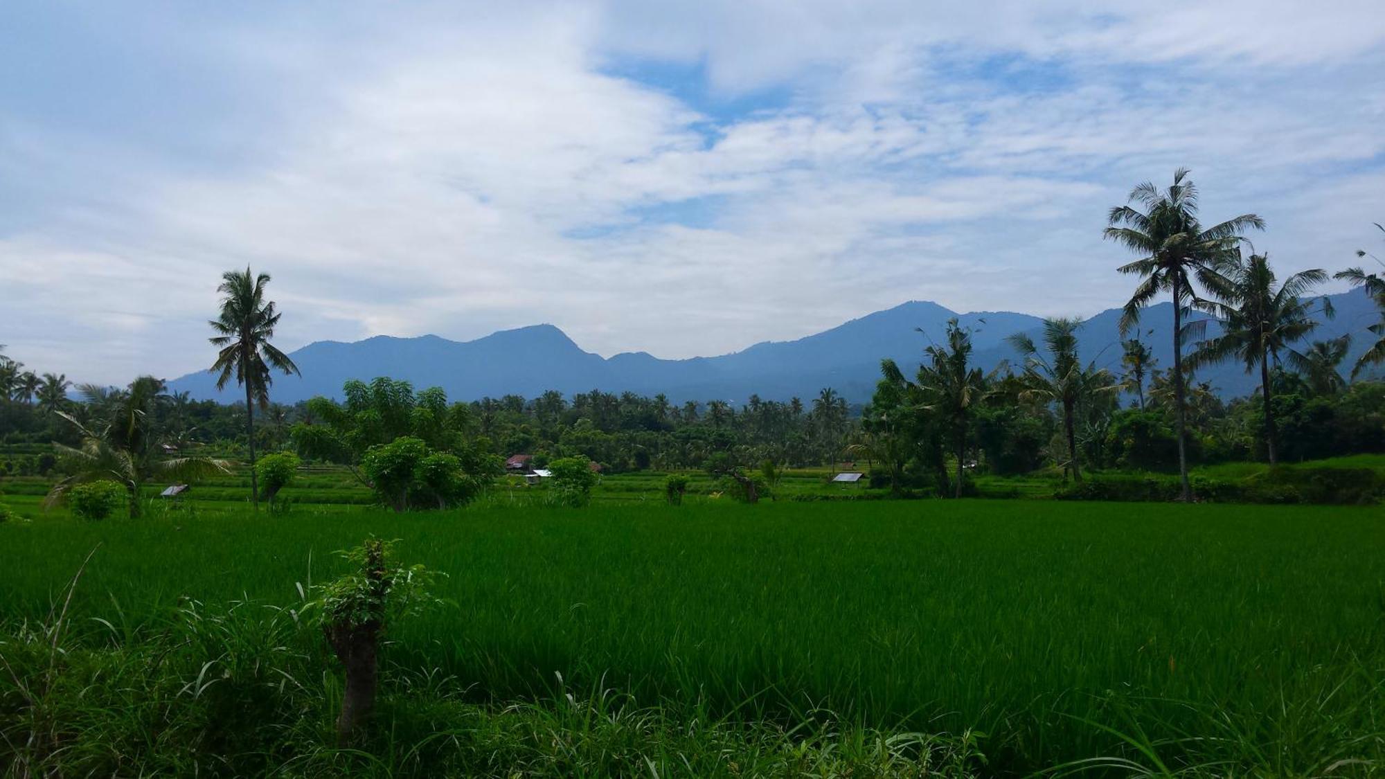 Pondok Manis Сингараджа Экстерьер фото